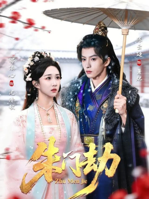 朱门劫（60集）一口气追完全集