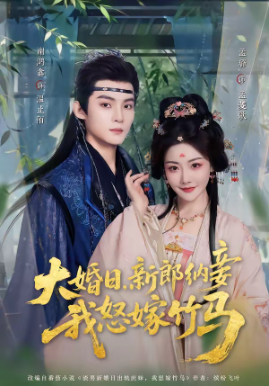 大婚日，新郎纳妾我怒嫁竹马（80集）看到了大结局