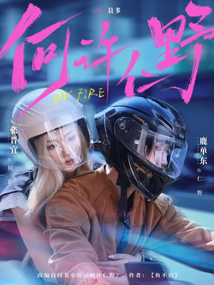 何许仁野（60集）红果短剧免费看