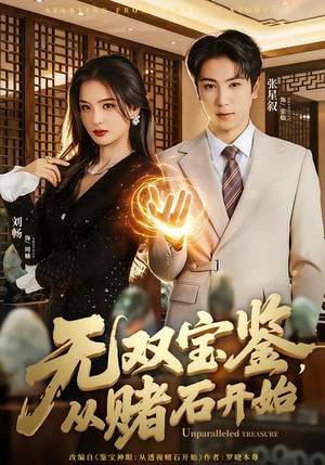 无双宝鉴，从赌石开始（70集）最后一集