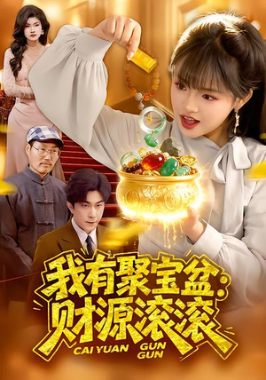 我有聚宝盆：财源滚滚（101集）新短剧推荐