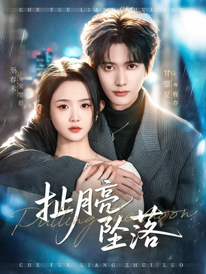 扯月亮坠落（81集）视频在线看