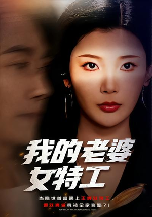 我的老婆女特工（62集）在哪里可以看