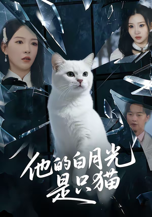 他的白月光是只猫（69集）热播短剧免费看