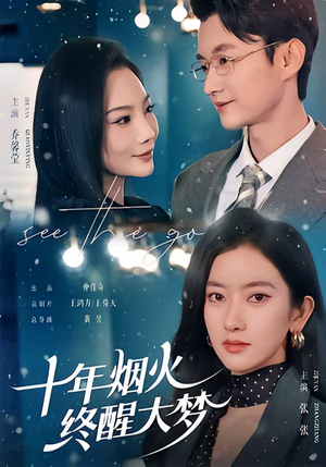 十年烟火，终醒大梦（60集）温柔追捕短剧