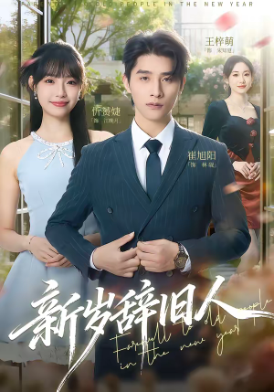 新岁辞旧人（76集）短剧在线观看