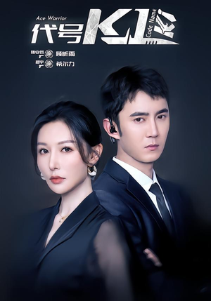 代号K1（43集）经典老剧免费看