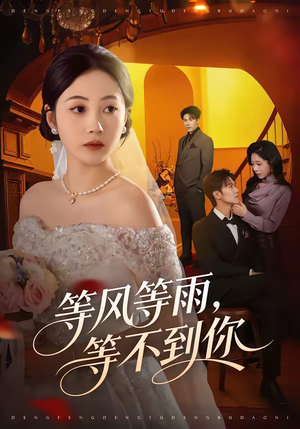 等风等雨，等不到你（65集）精彩短剧上线
