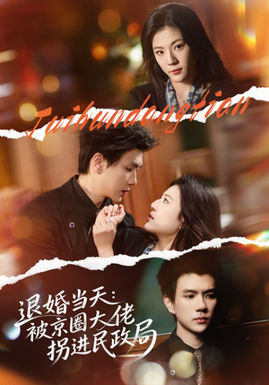 退婚当天：被京圈大佬拐进民政局（80集）更新时间