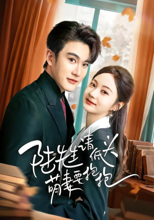 陆先生请低头萌妻要抱抱（51集）评价怎么样