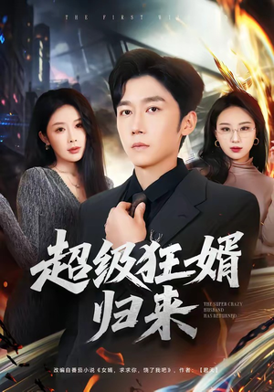 超级狂婿归来（81集）全剧免费观看