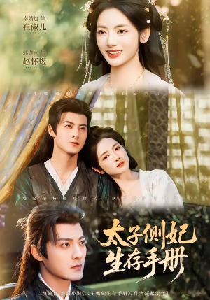 太子侧妃生存手册（63集）短视频追剧推荐