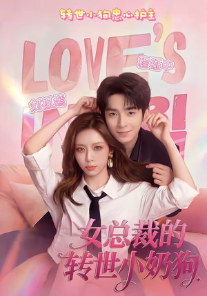 女总裁的转世小奶狗（30集）零花钱看整部剧