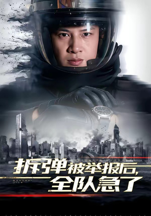 拆弹被举报后，全队急了（50集）百度网盘资源