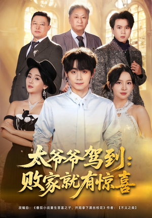 太爷爷驾到：败家就有惊喜（80集）短剧热门分享