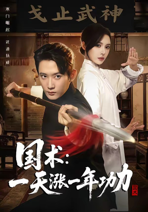 国术，一天涨一年功力（66集）全集都在这里了