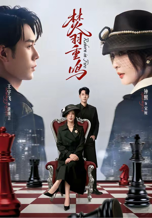 焚羽重鸣（60集）免费看短剧全集