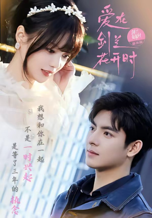 爱在剑兰花开时（56集）百度网盘在线看