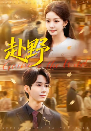 赴野（40集）短剧热播中