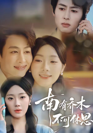 南有乔木，不可休思（68集）短剧在哪里看