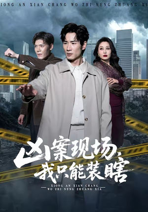 凶案现场，我只能装瞎（72集）免费看