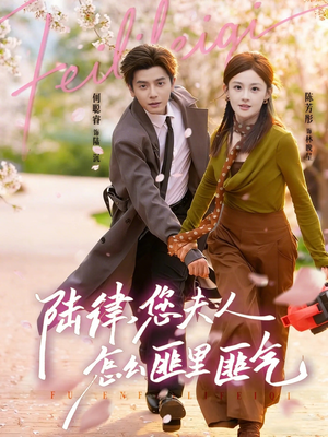 陆律，您夫人怎么匪里匪气（60集）零花钱看整部剧