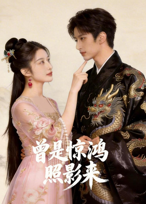 曾是惊鸿照影来（43集）全网独播免费看