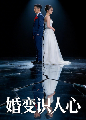 婚变识人心（54集）在线观看完整版