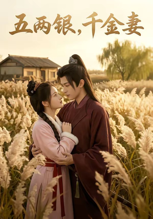 五两银，千金妻（60集）经典回顾免费看