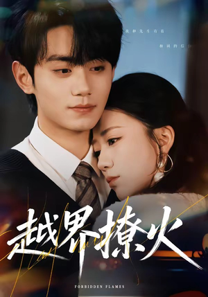 越界撩火（64集）免费短剧大全
