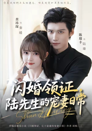 闪婚领证，陆先生的宠妻日常（86集）UC网盘在线看