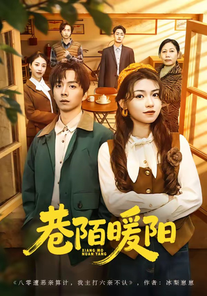 巷陌暖阳（80集）短剧爆款推荐