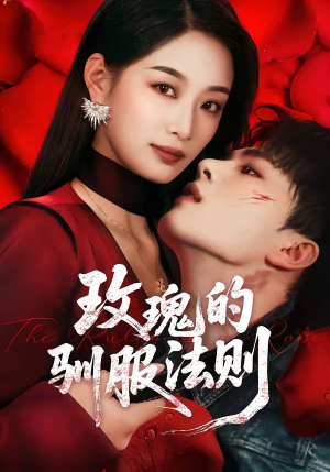 玫瑰的驯服法则（65集）在哪个app能看