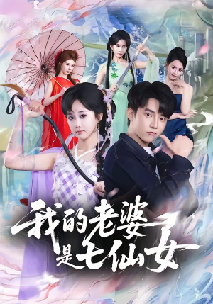 我的老婆是七仙女（57集）第一季