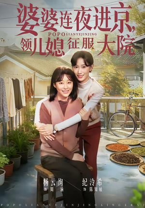 婆婆连夜进京，领儿媳征服大院（78集）短剧热播抢先看