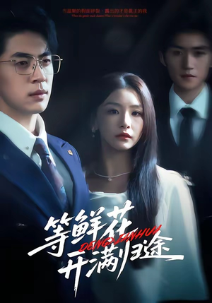 等鲜花开满归途（61集）热门火爆短剧