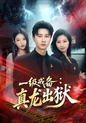 一级戒备:真龙出狱(73集) 一级戒备:真龙出狱(73集)短剧解说全集