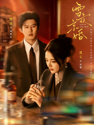 雪夜京婚(84集) 雪夜京婚(84集)热门短剧来袭