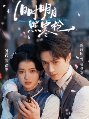 旧时明月照寒枪(62集) 旧时明月照寒枪(62集)全集下载