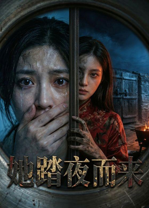 她踏夜而来(40集) 她踏夜而来(40集)第二季