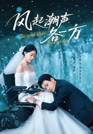 风起潮声各一方(84集) 风起潮声各一方(84集)免费看全集
