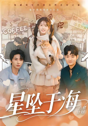 星坠于海(50集) 星坠于海(50集)在线观看