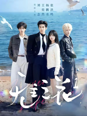 无主之花1(72集) 无主之花1(72集)爆款短剧追不停