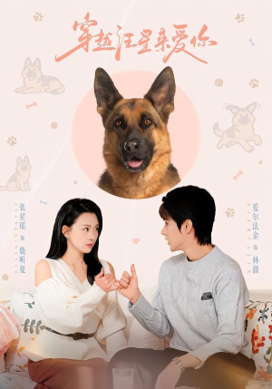 穿越汪星来爱你(62集) 穿越汪星来爱你(62集)短剧也太好看了