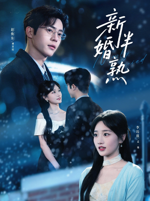 新婚半熟（68集）第二季
