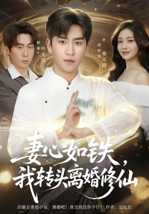 妻心如铁我转头离婚修仙（81集）高清画质免费看
