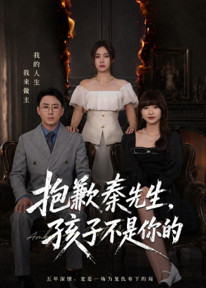 抱歉秦先生，孩子不是你的（53集）全季一次看完