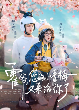 霍爷,您的小青梅又来治你了(90集) 霍爷,您的小青梅又来治你了(90集)在哪看