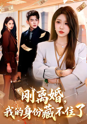 刚离婚，我的身份藏不住了（100集）追短剧太上头了