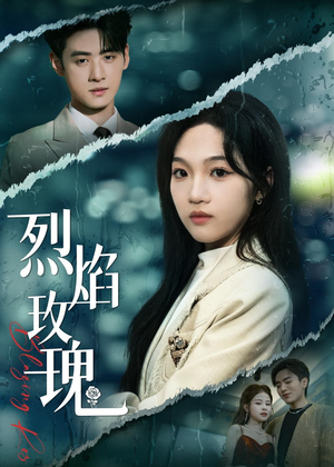 烈焰玫瑰（37集）一起追生活短剧